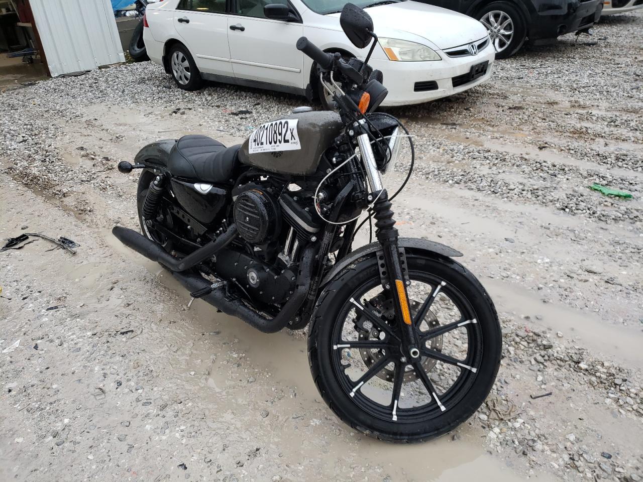 2019 Harley-davidson Xl883