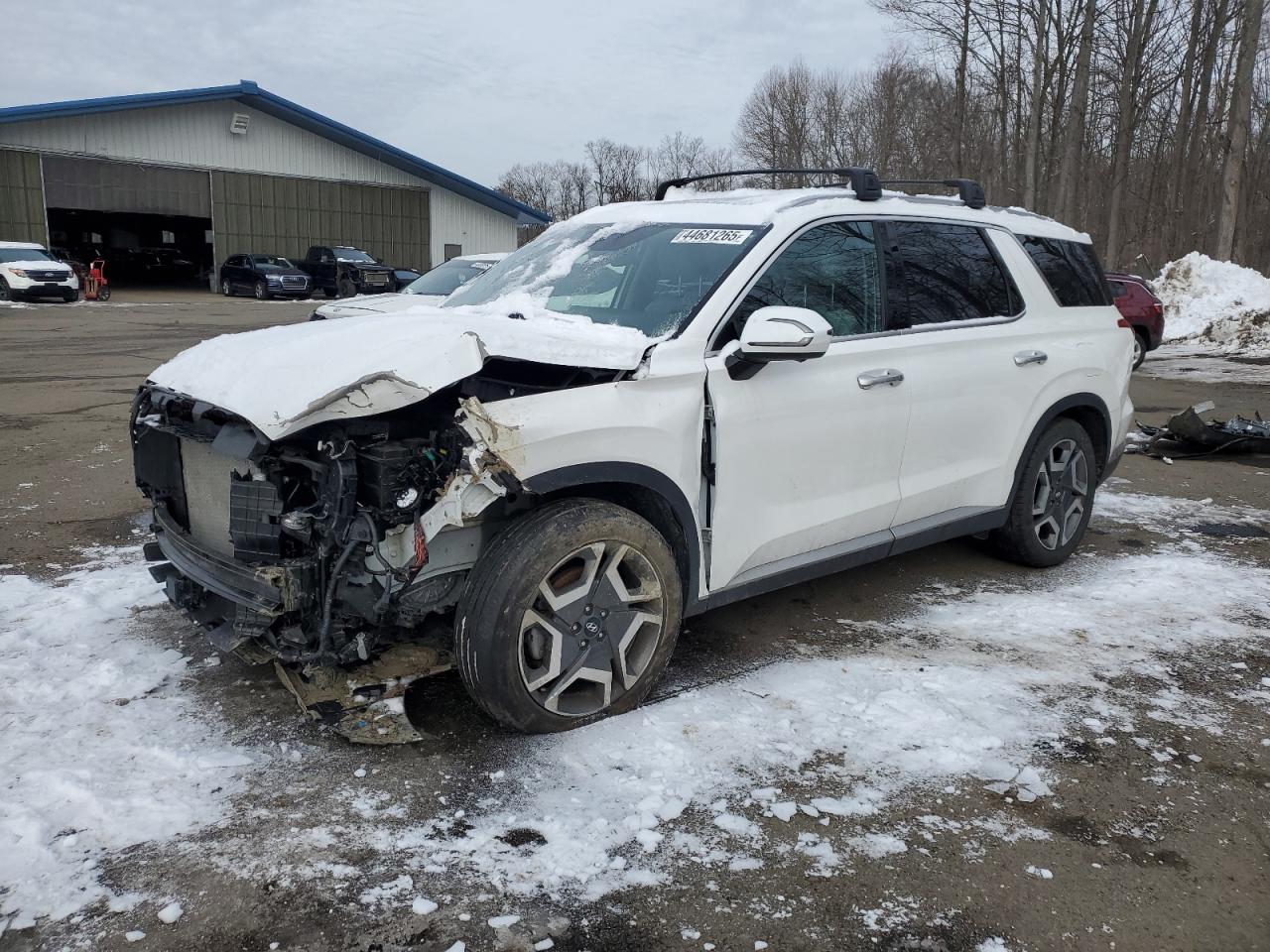 2023 Hyundai Palisade sel premium