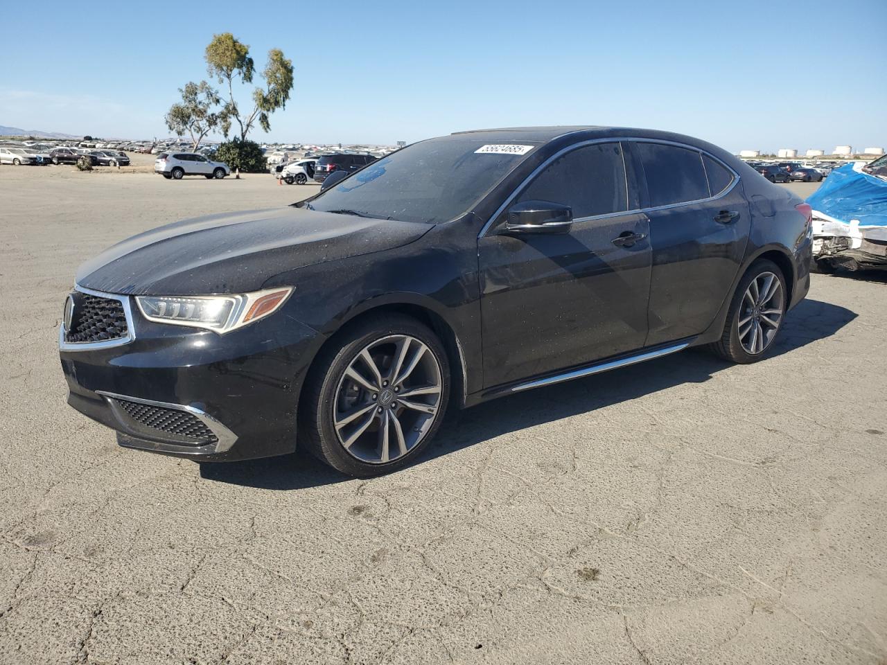 2019 Acura Tlx techno