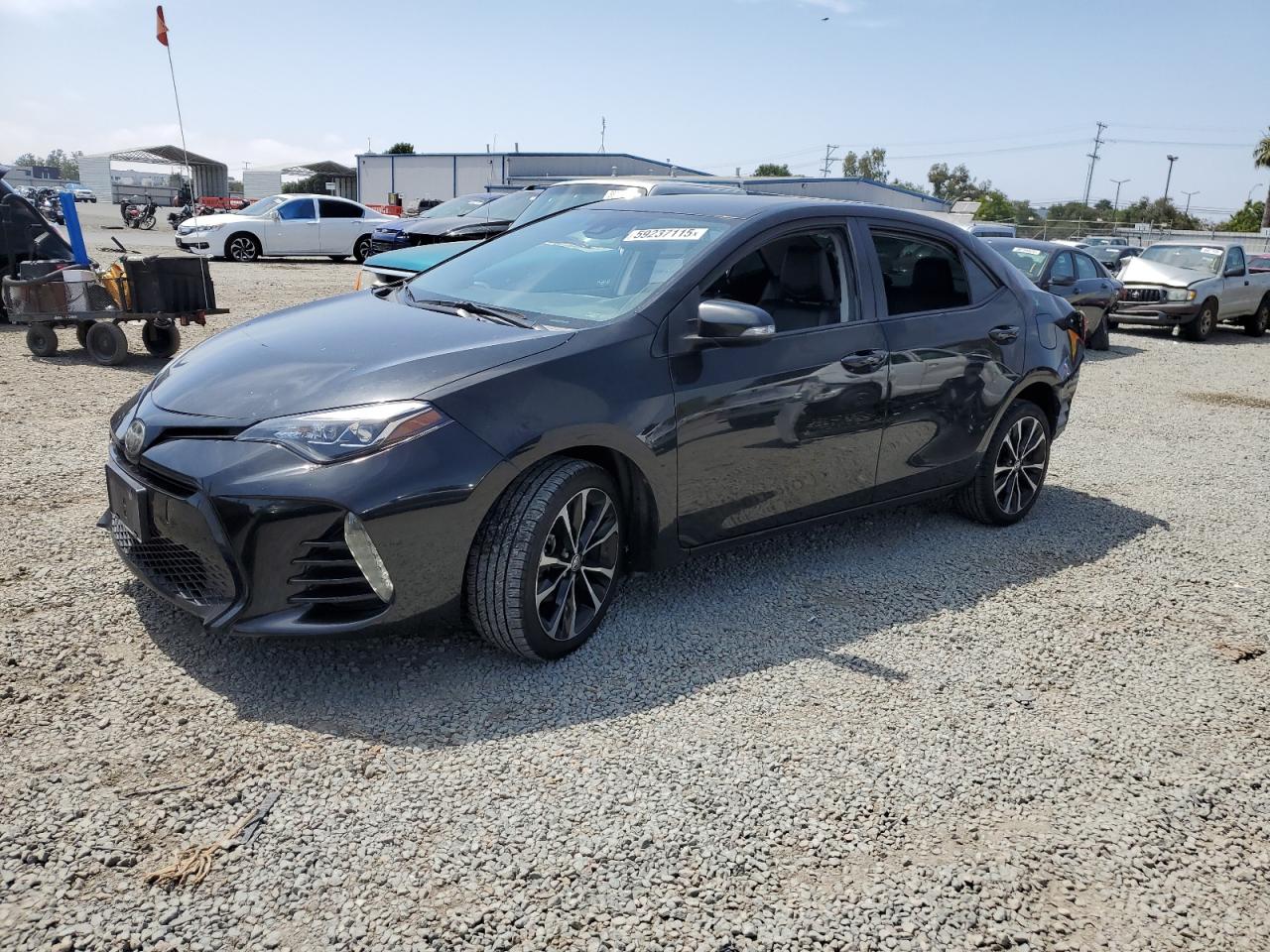 2019 Toyota Corolla l