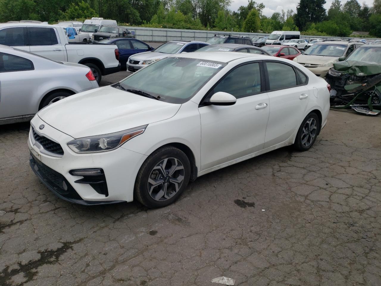 2019 Kia Forte fe