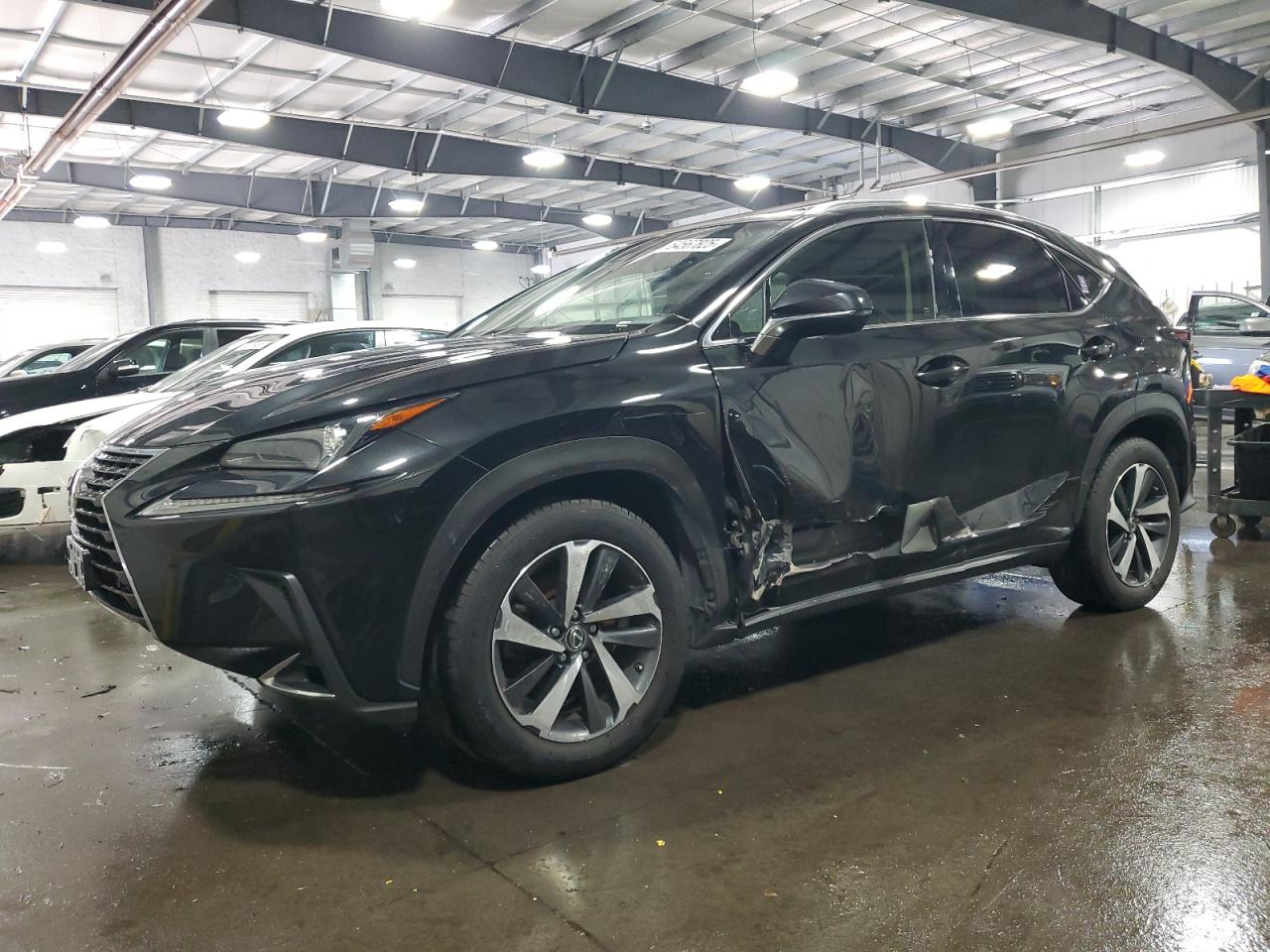 2019 Lexus Nx 300 bas