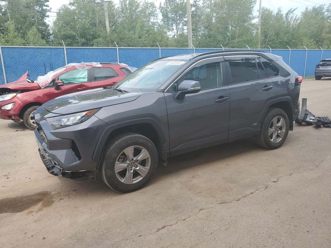 2023 Toyota Rav4 le