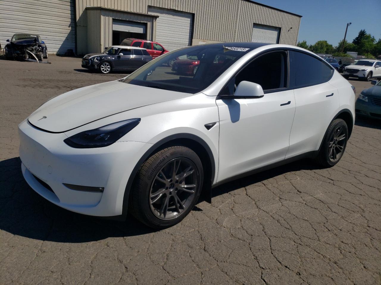 2025 Tesla Model y