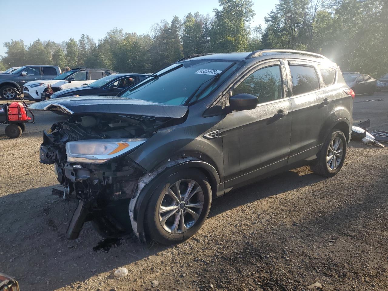 2019 Ford Escape sel