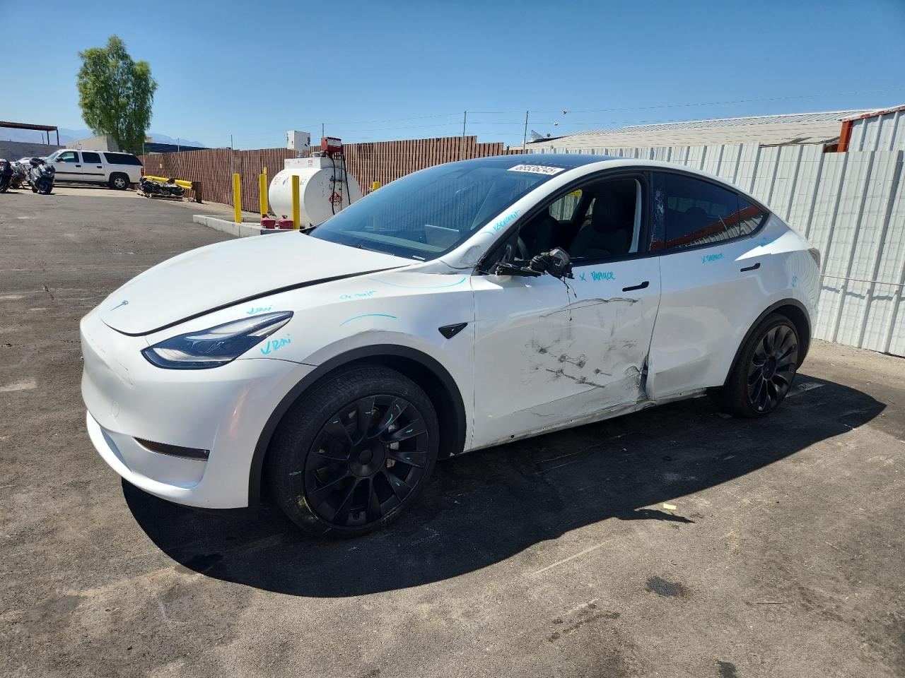 2024 Tesla Model y