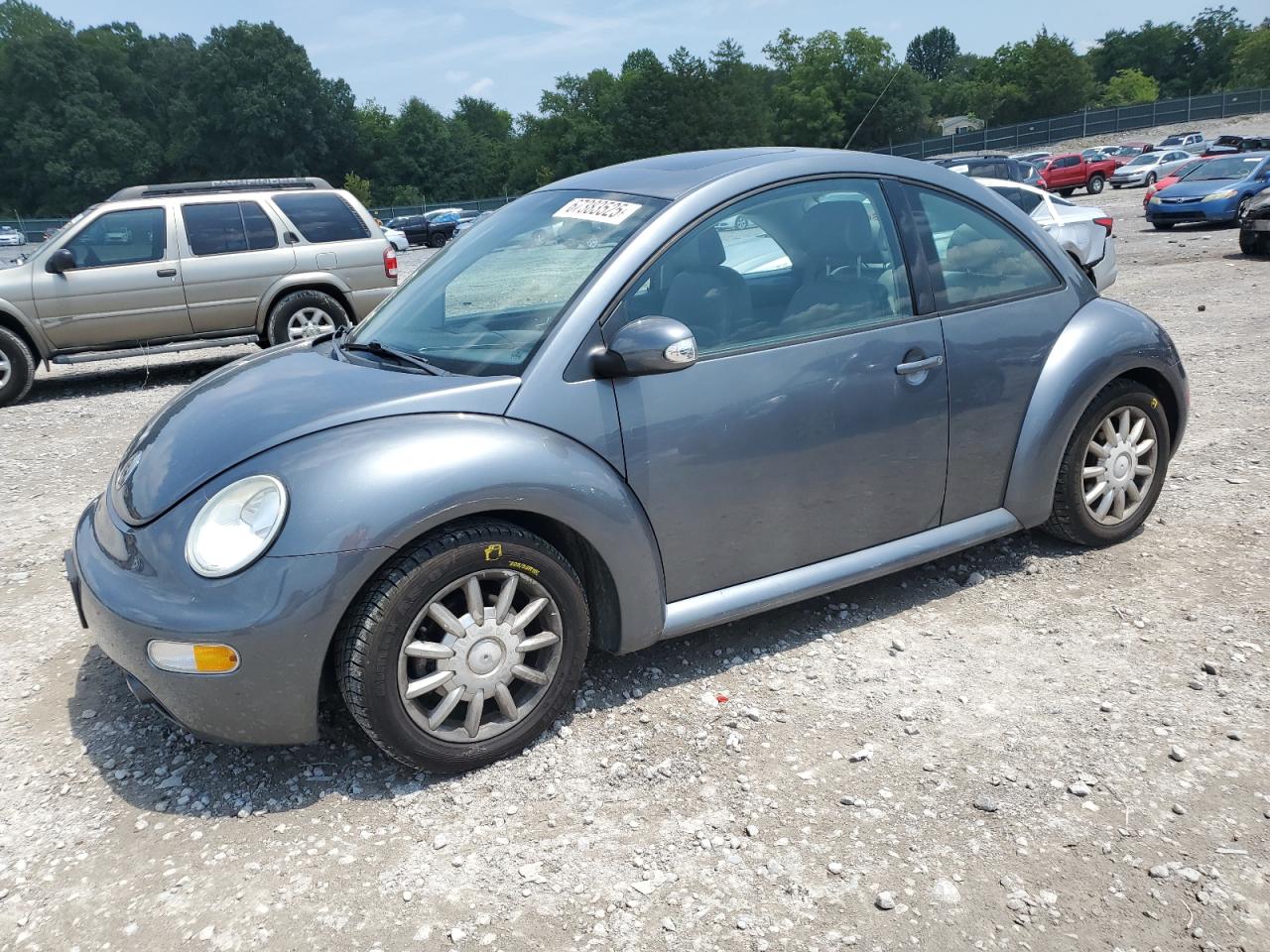 Volkswagen New beetle gls