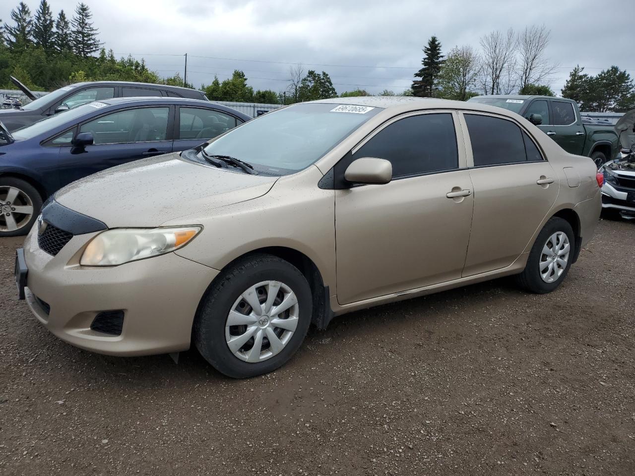 2010 Toyota Corolla ba