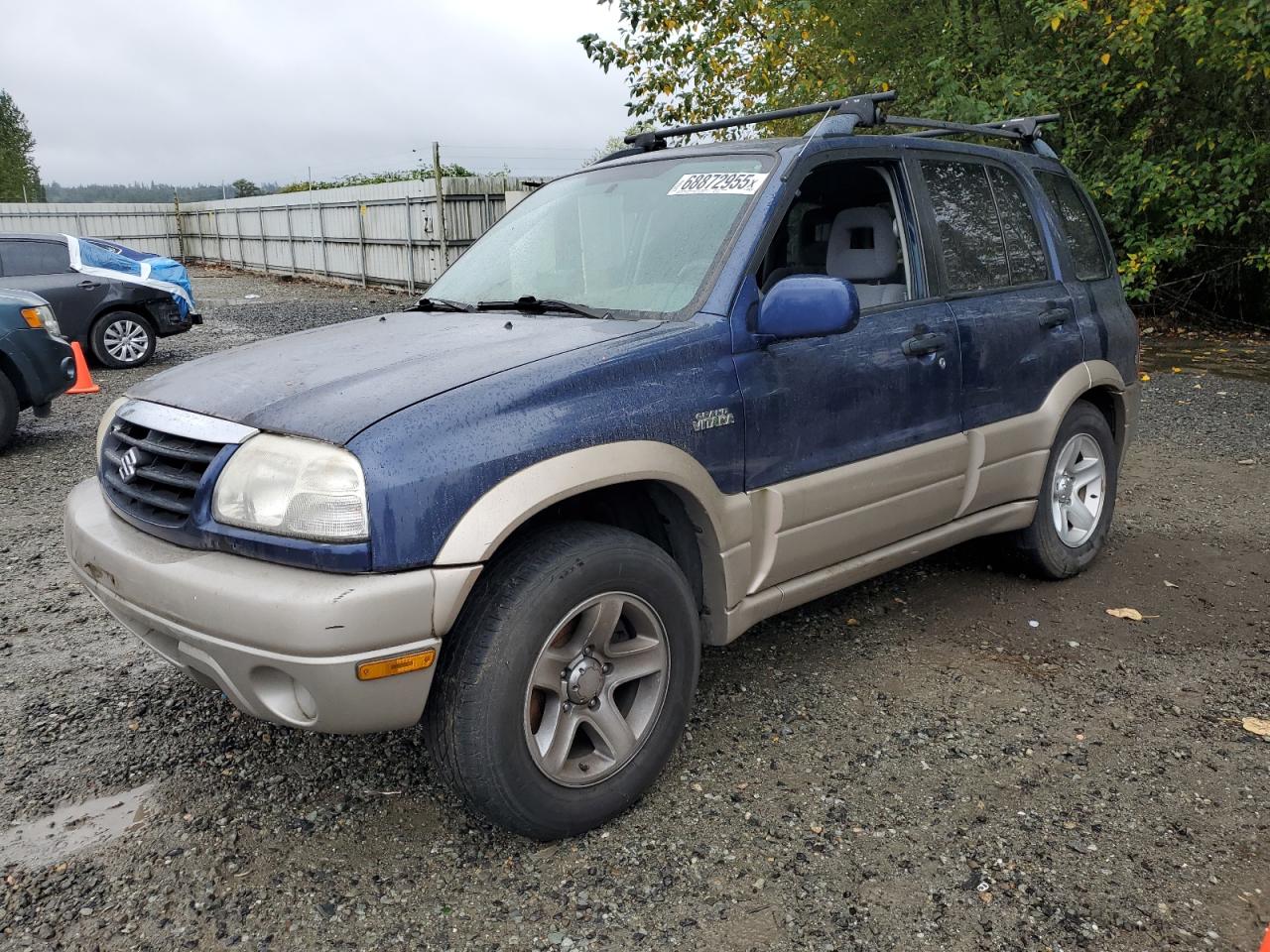 2001 Suzuki Grand vita