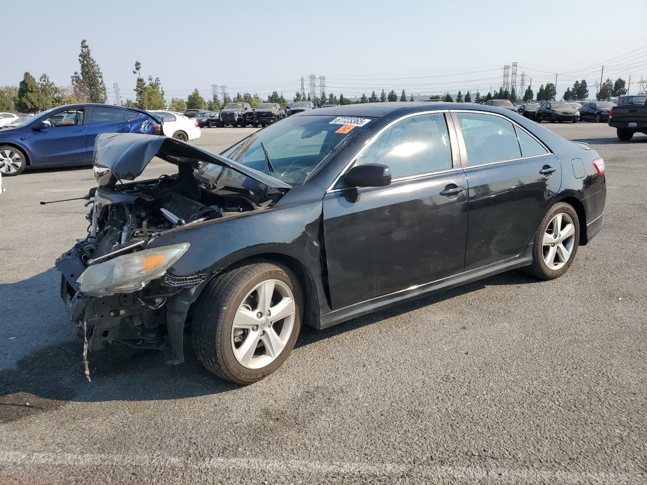 2010 Toyota Camry base