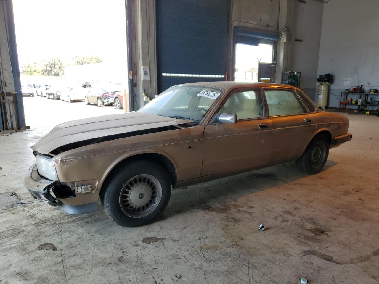 1990 Jaguar Vandenplas
