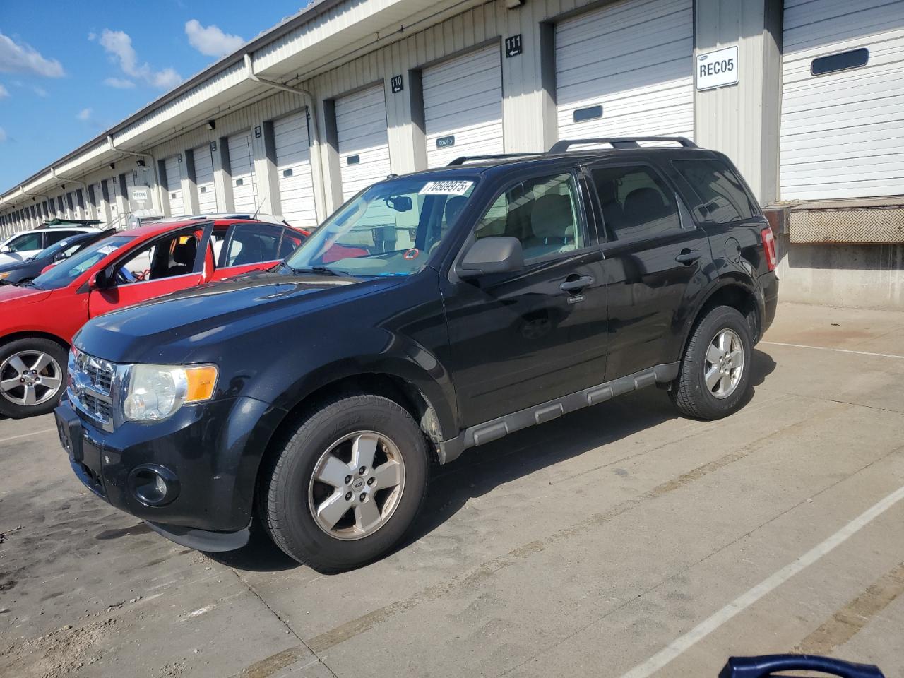 2011 Ford Escape xlt