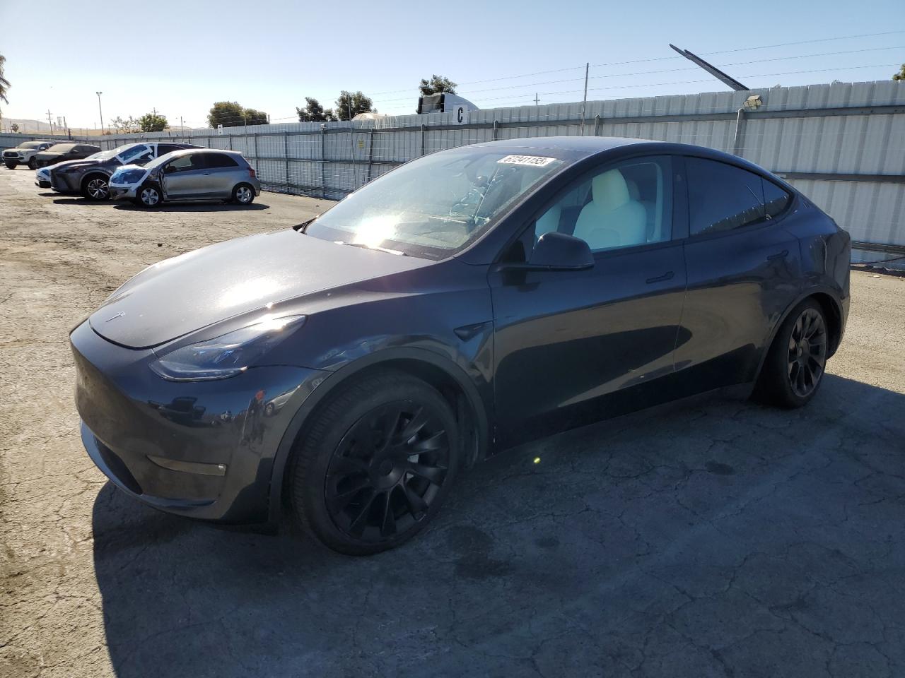 2024 Tesla Model y
