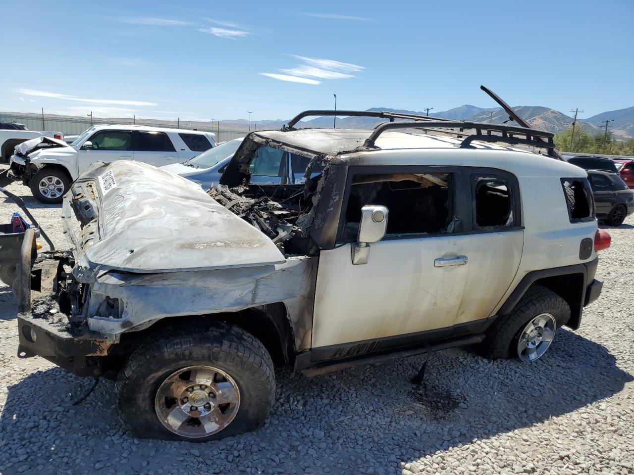 2010 Toyota Fj cruiser