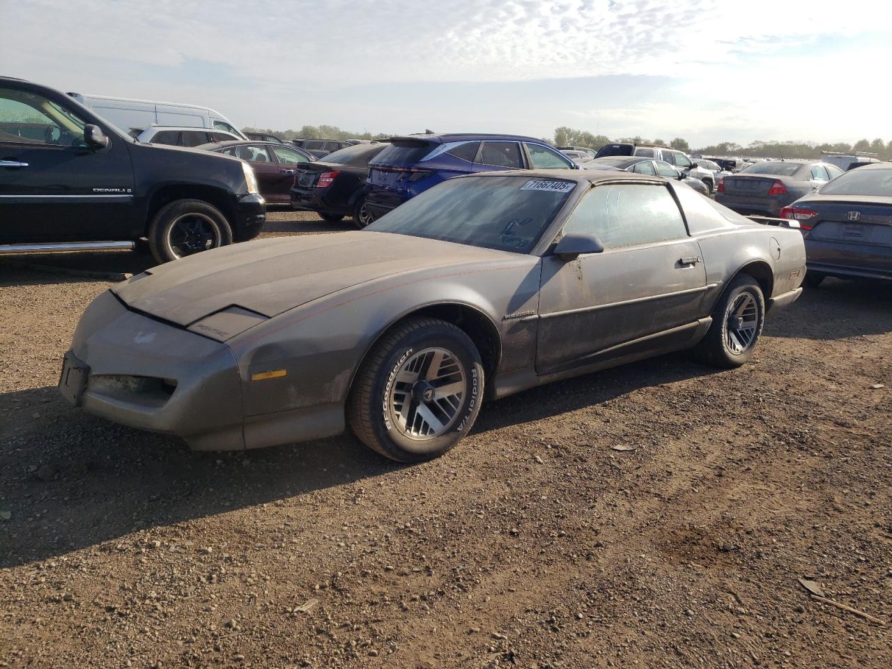 Pontiac Firebird b