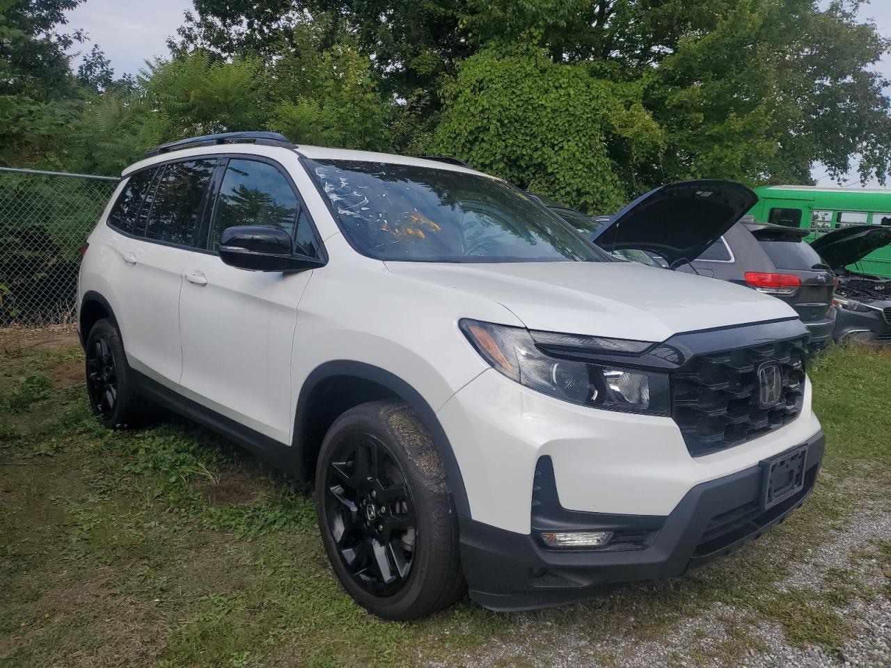 2022 Hond Passport elite