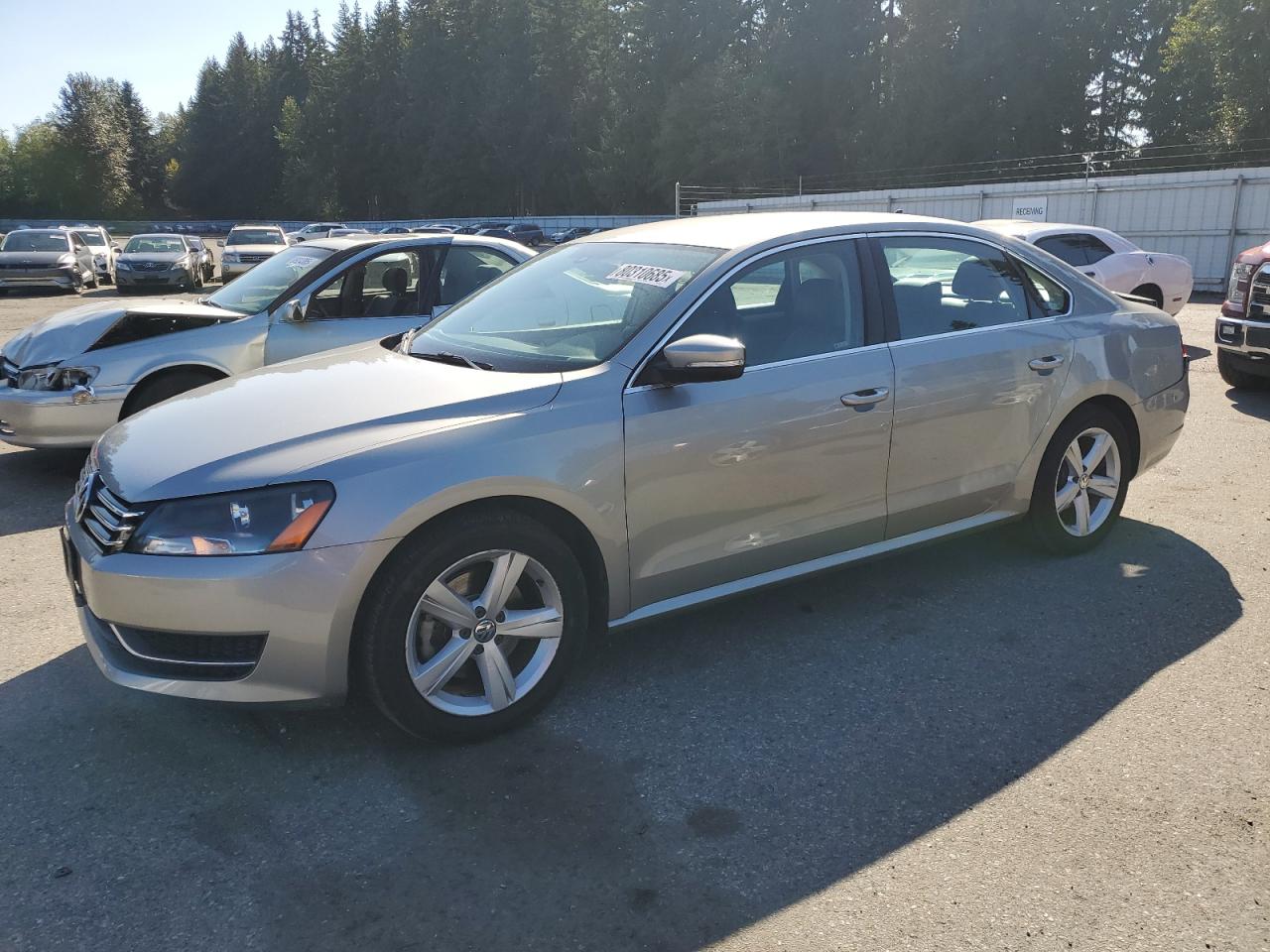 2013 Volkswagen Passat se