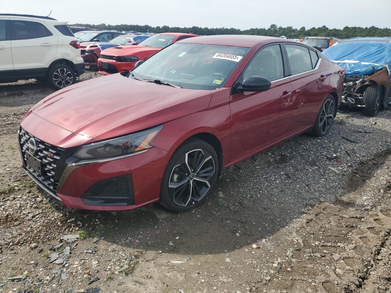2025 Nissan Altima sr