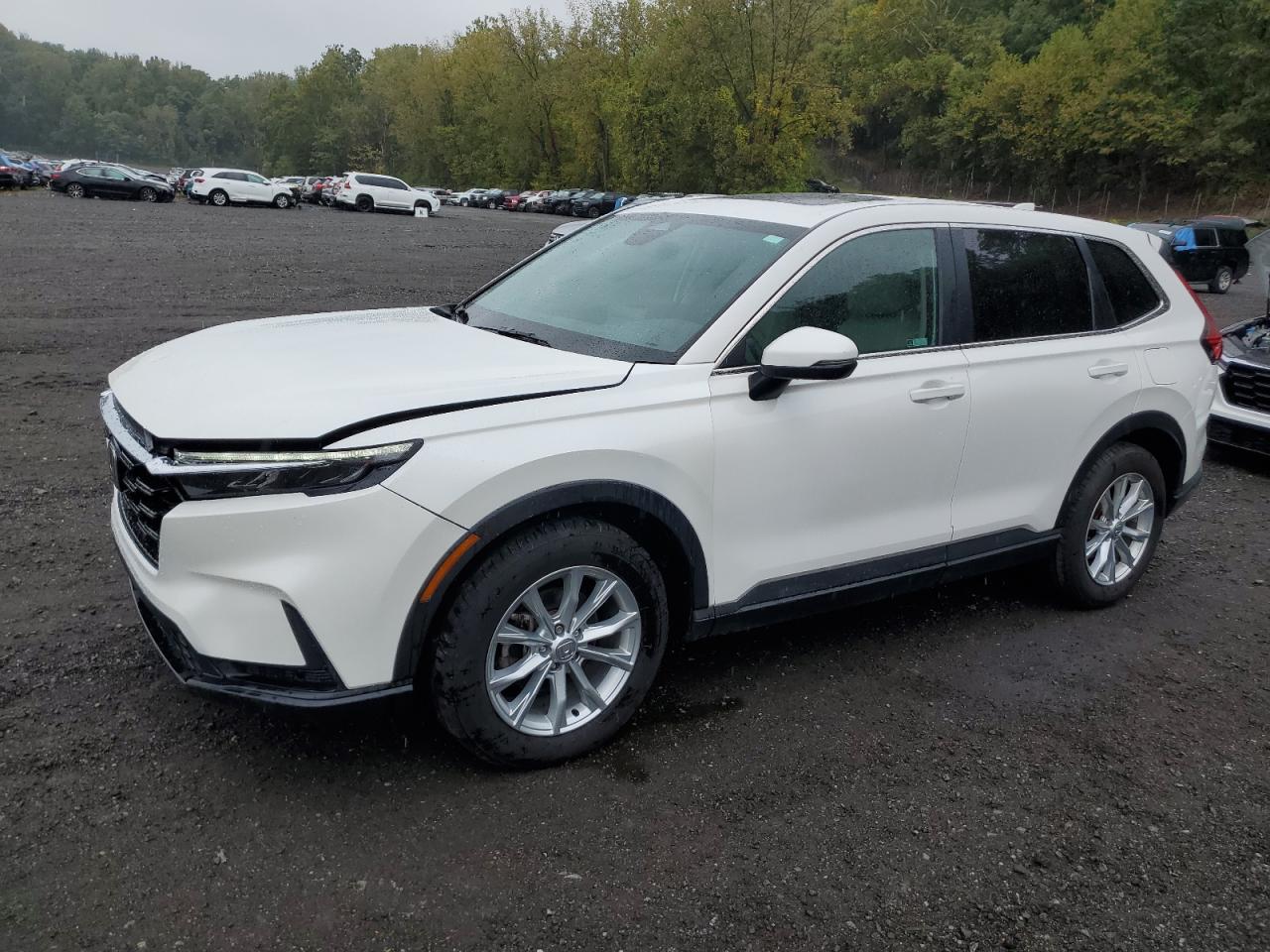 2024 Honda Cr-v exl