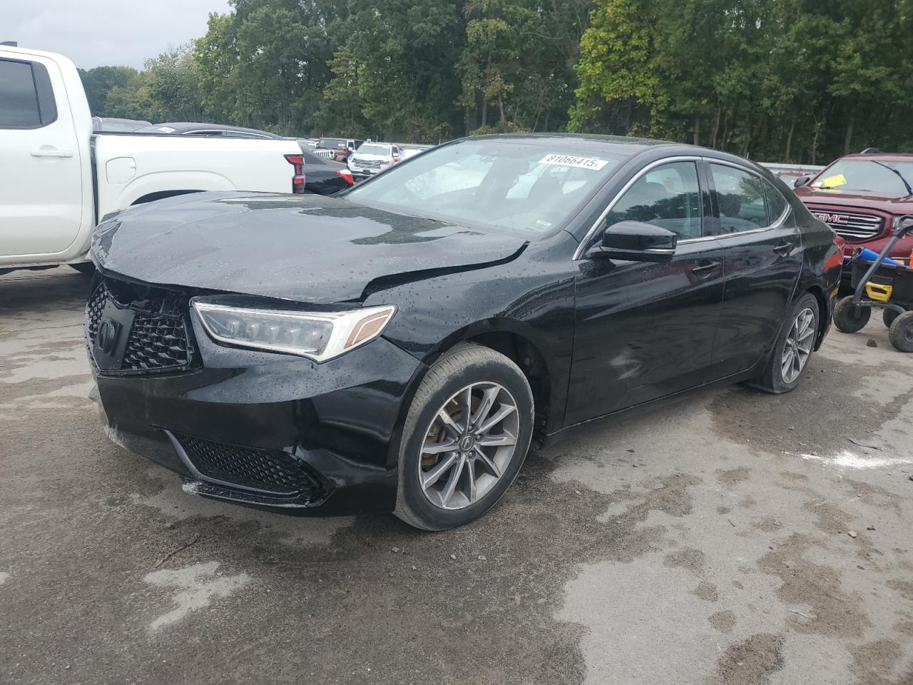 2019 Acura Tlx