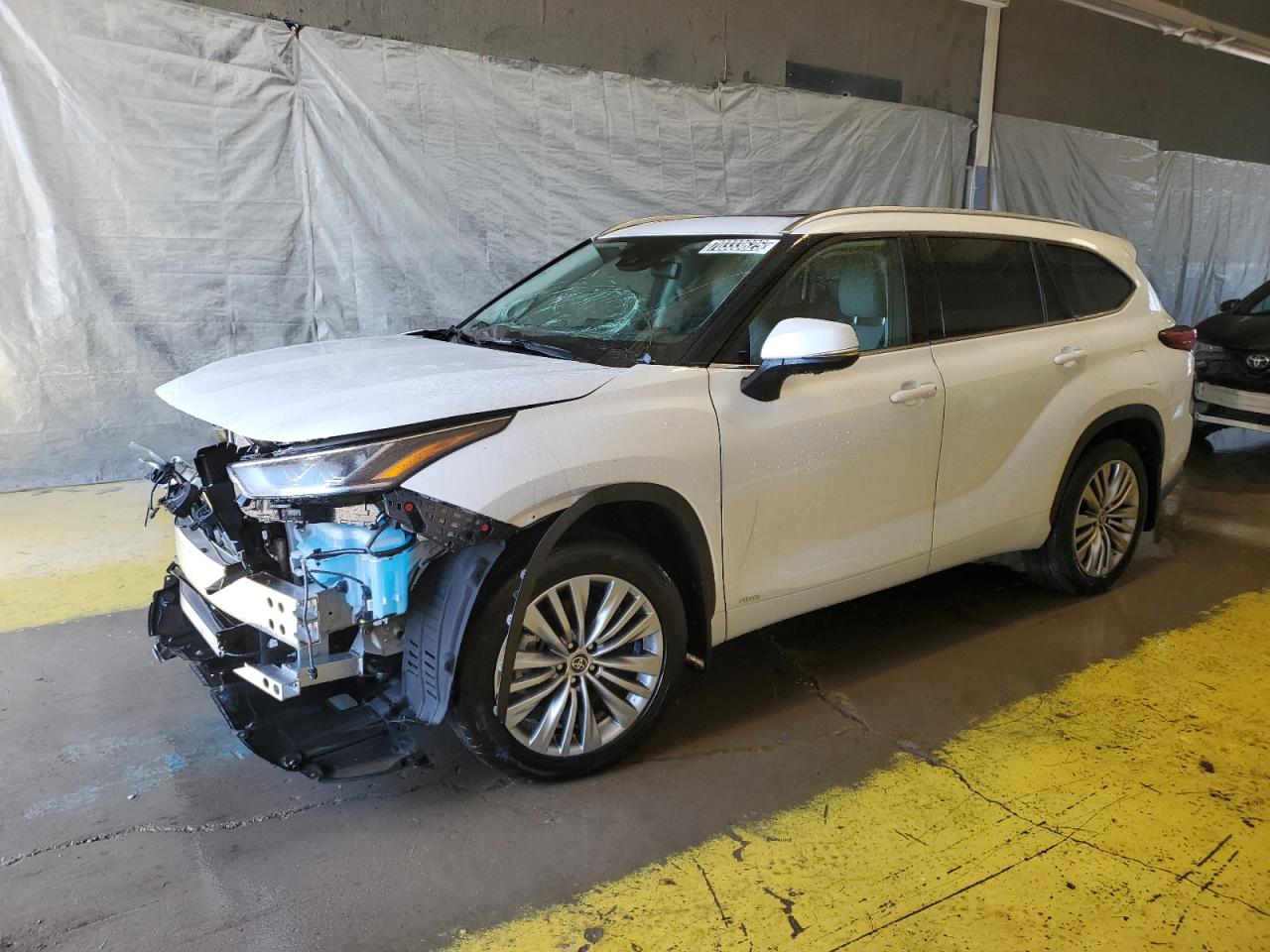 2025 Toyota Highlander hybrid limited