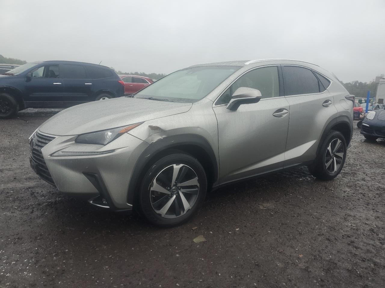 2019 Lexus Nx 300 bas