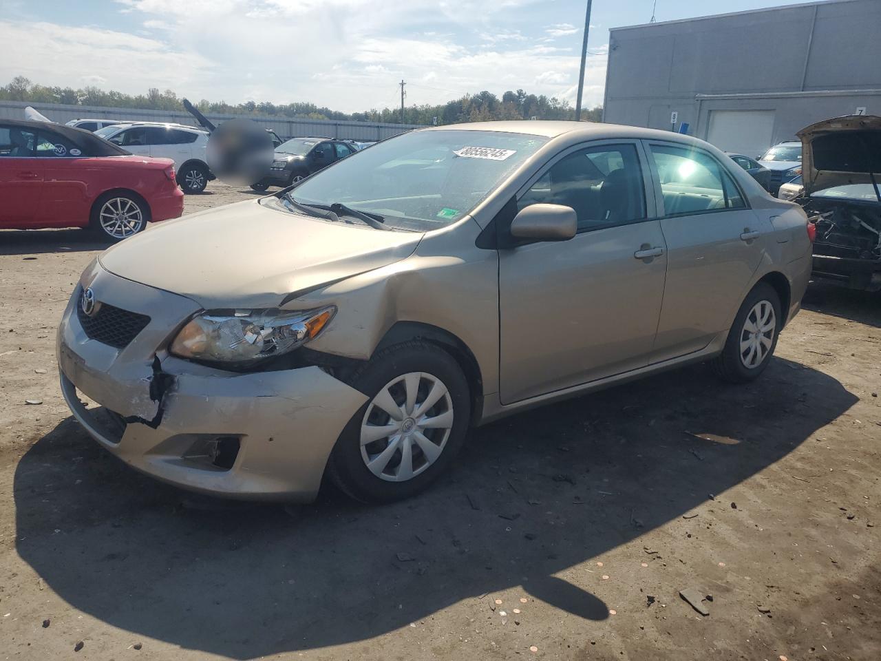 2010 Toyota Corolla ba
