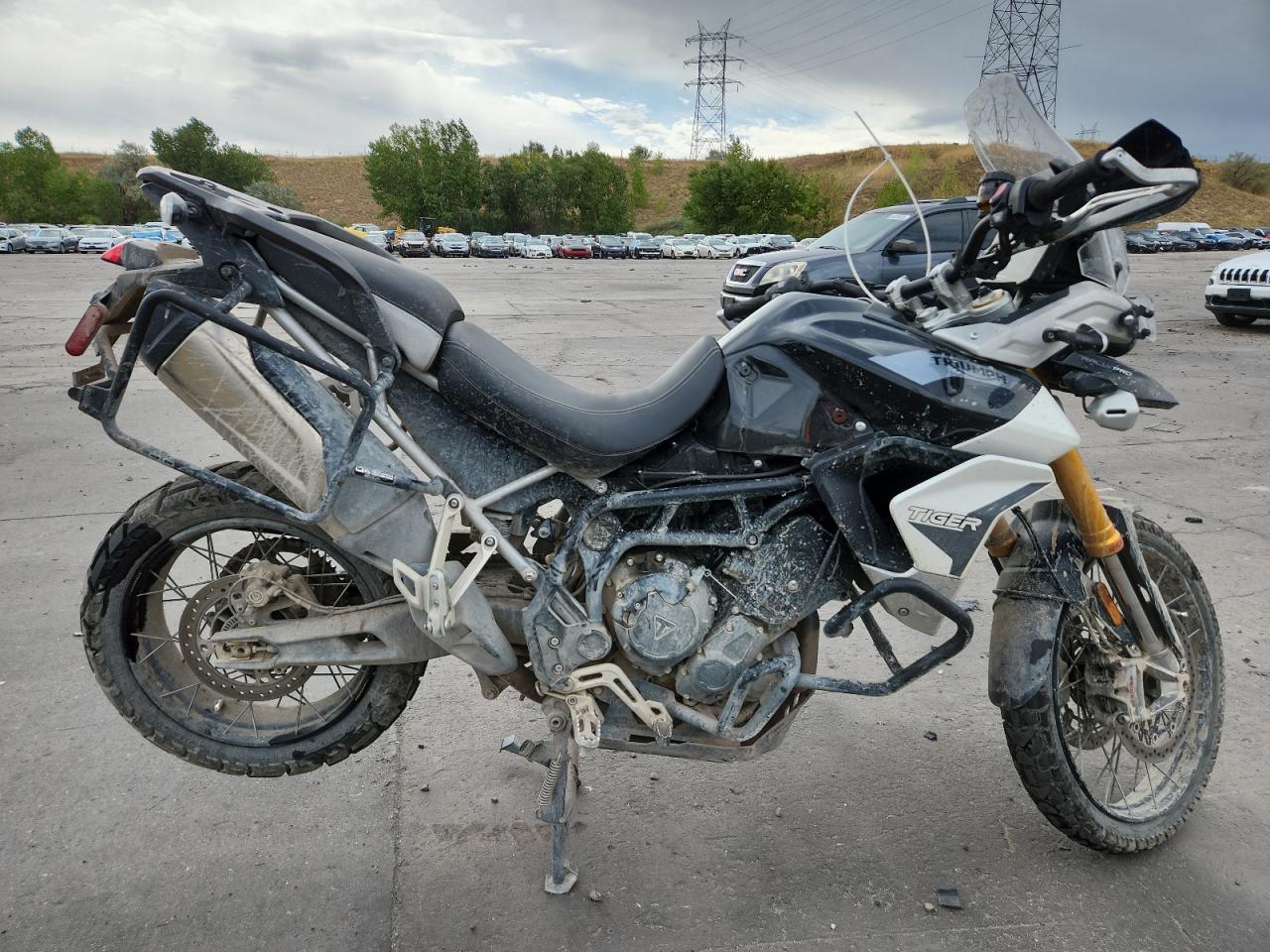 2022 Triumph motorcycle Tiger 900 rally pro
