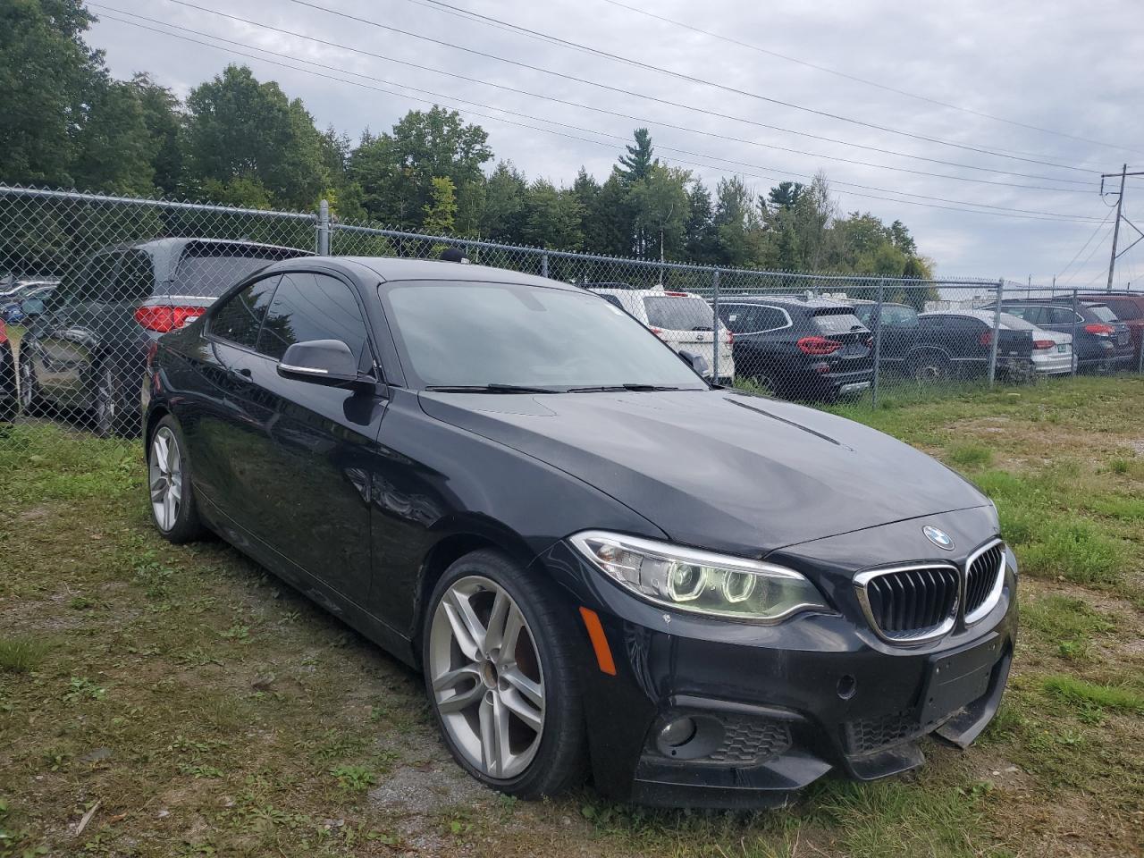 2017 BMW 230XI