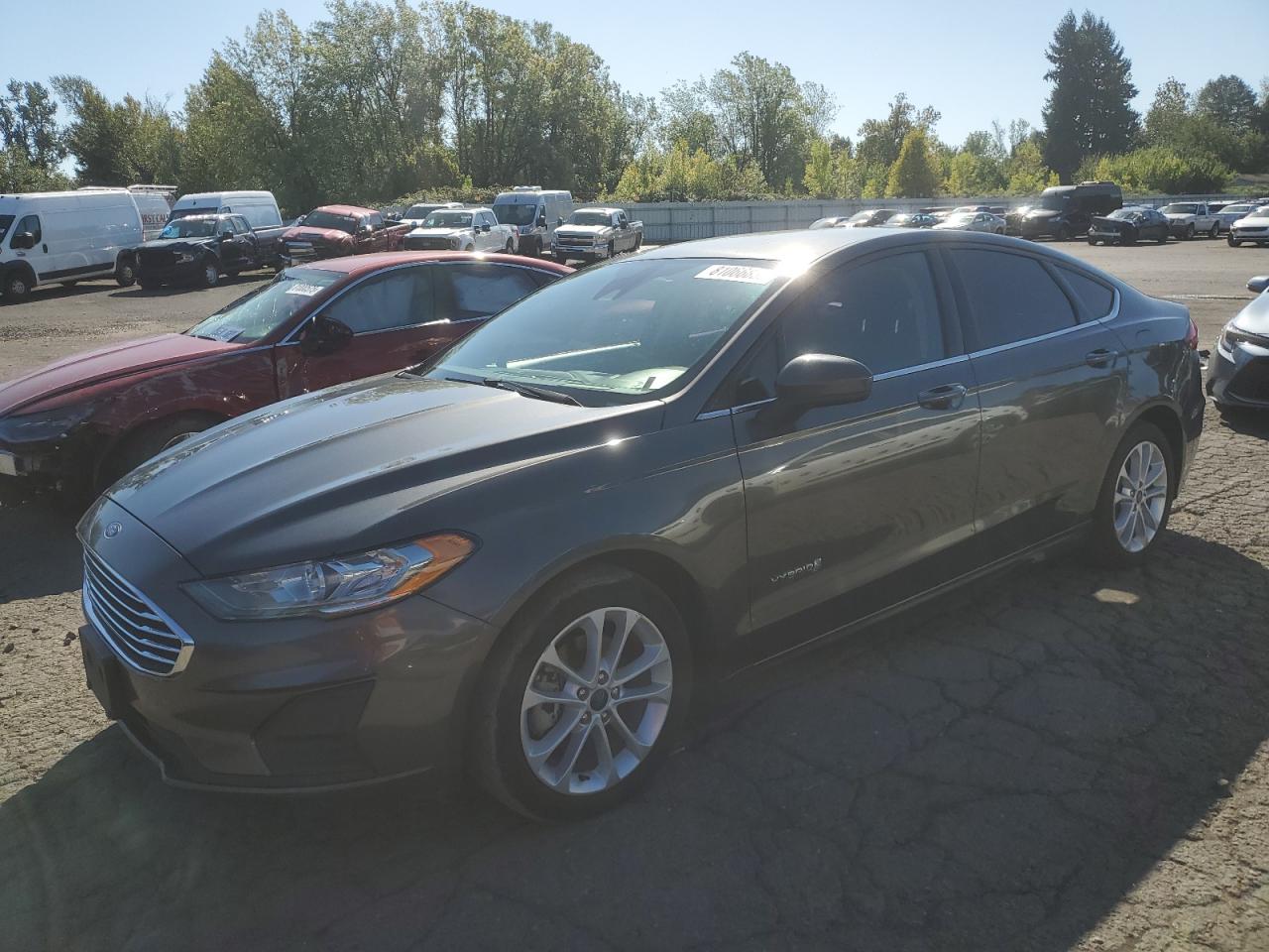 2019 Ford Fusion se