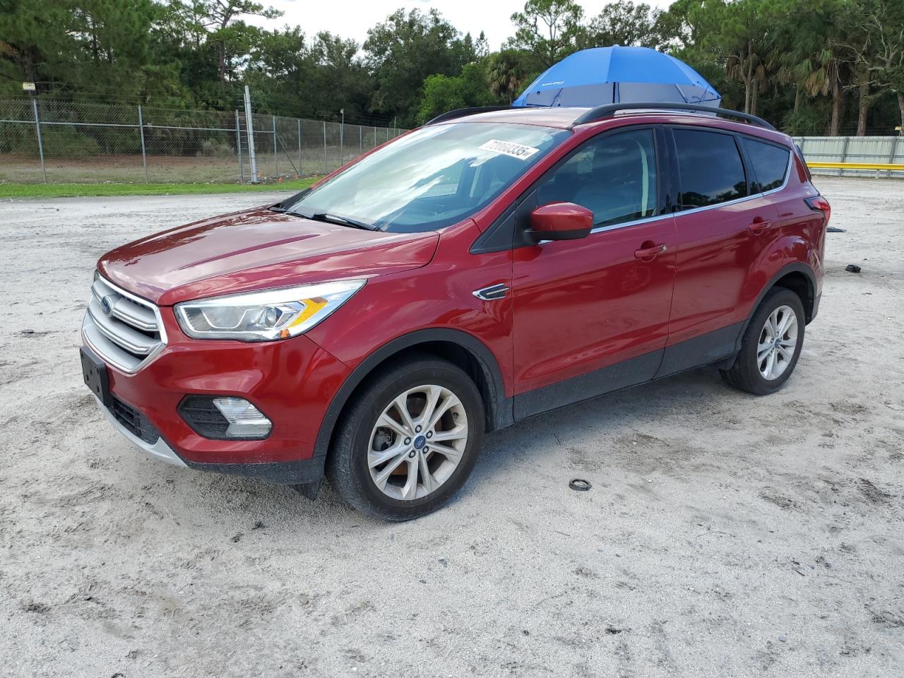 2019 Ford Escape sel
