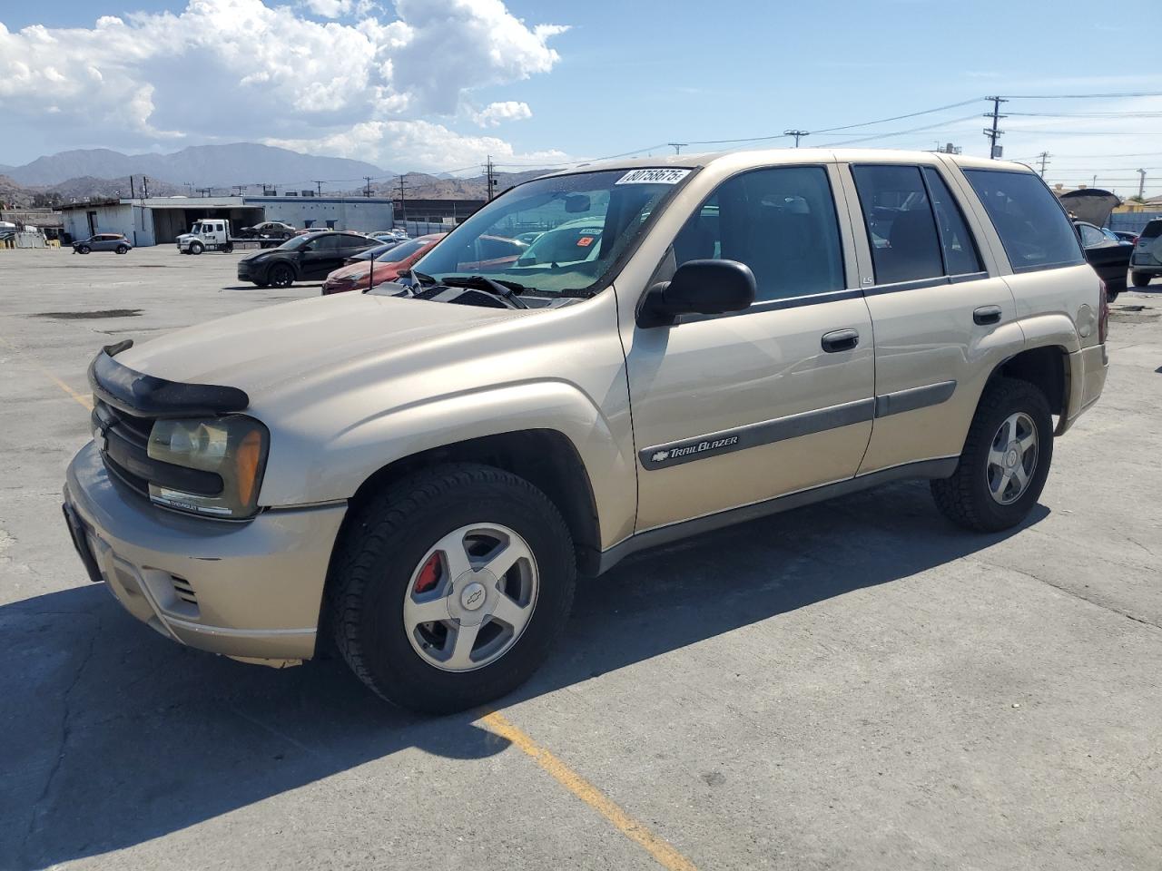 2004 Chevrolet Trailblaze