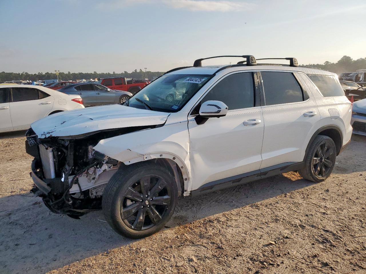 2025 Hyundai Palisade x
