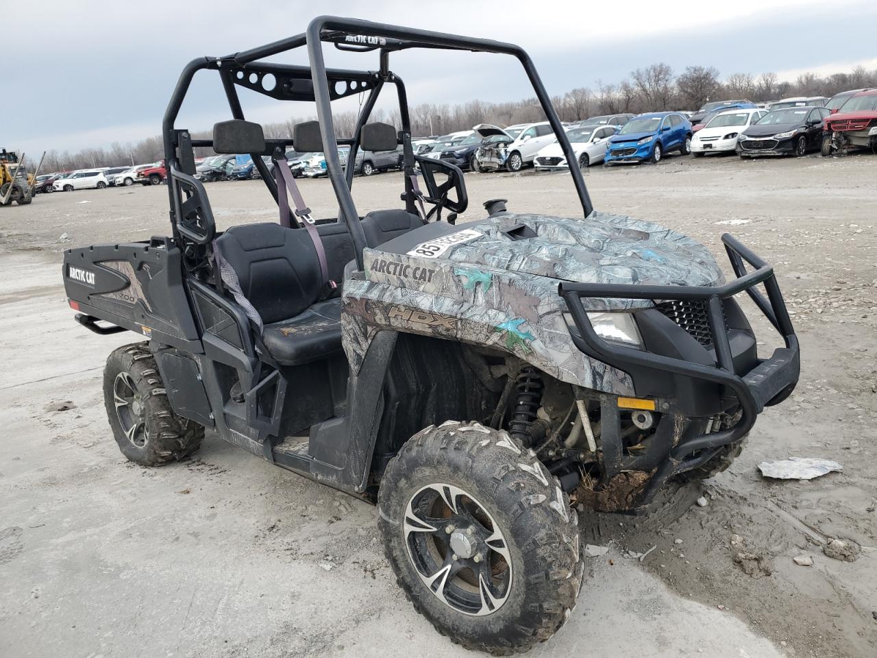 Arctic cat Wildcat x