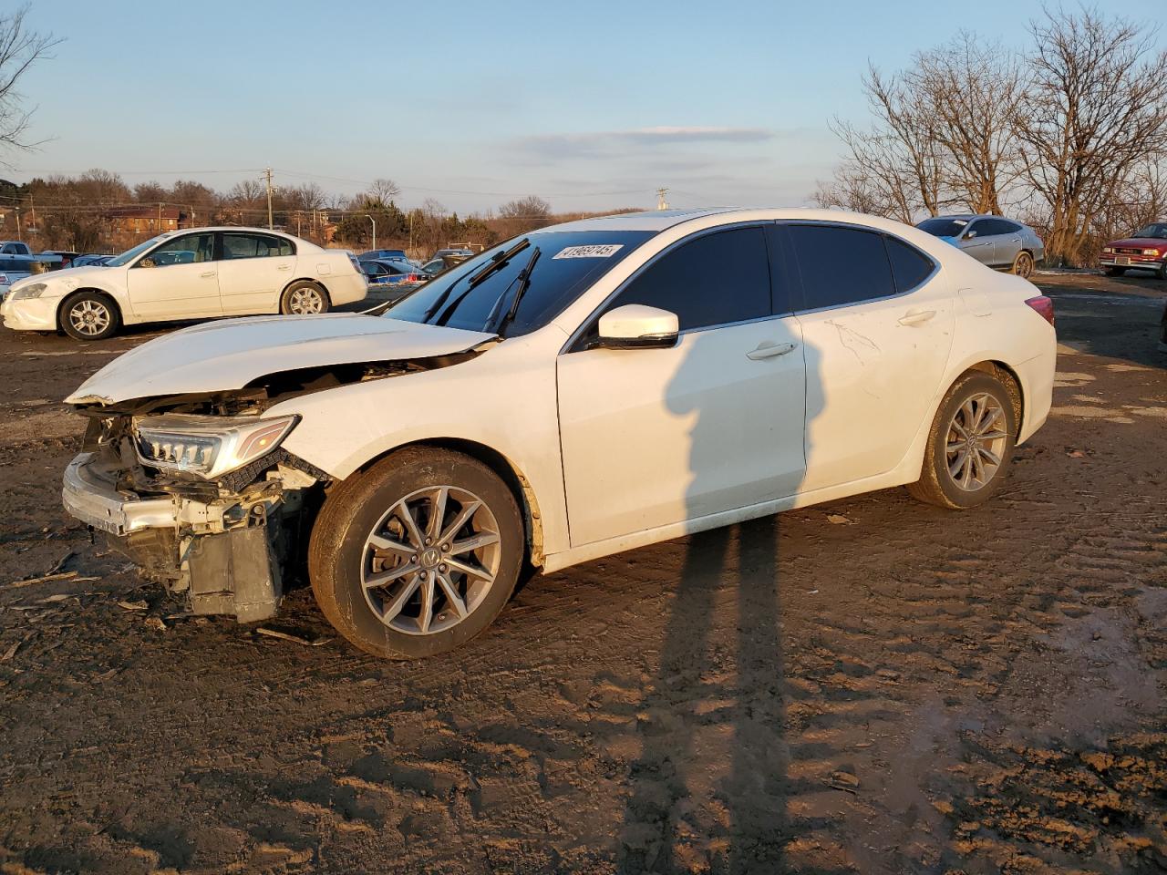 2020 Acura Tlx