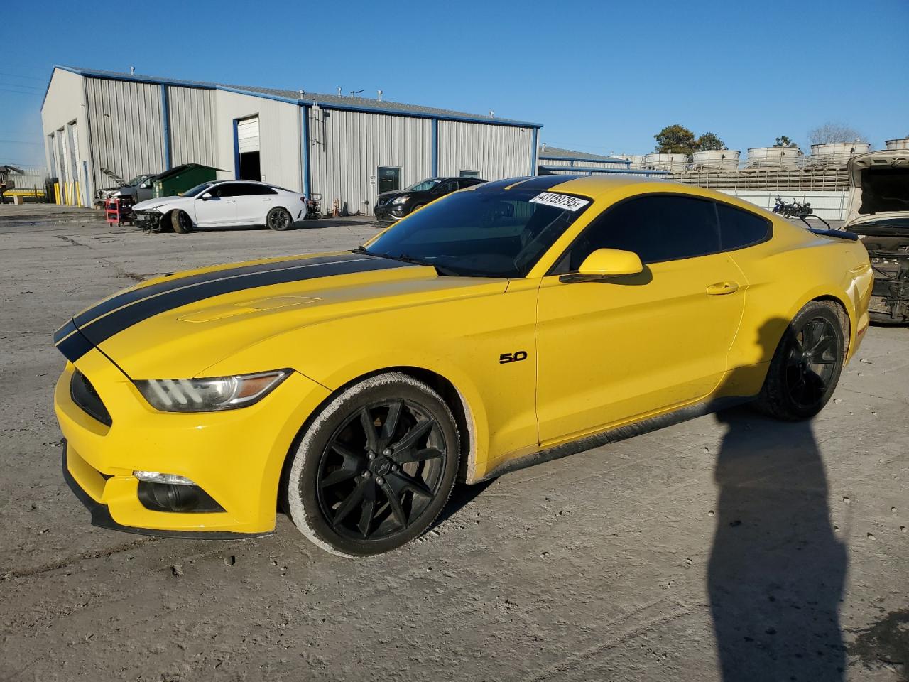 2017 Ford Mustang gt GT