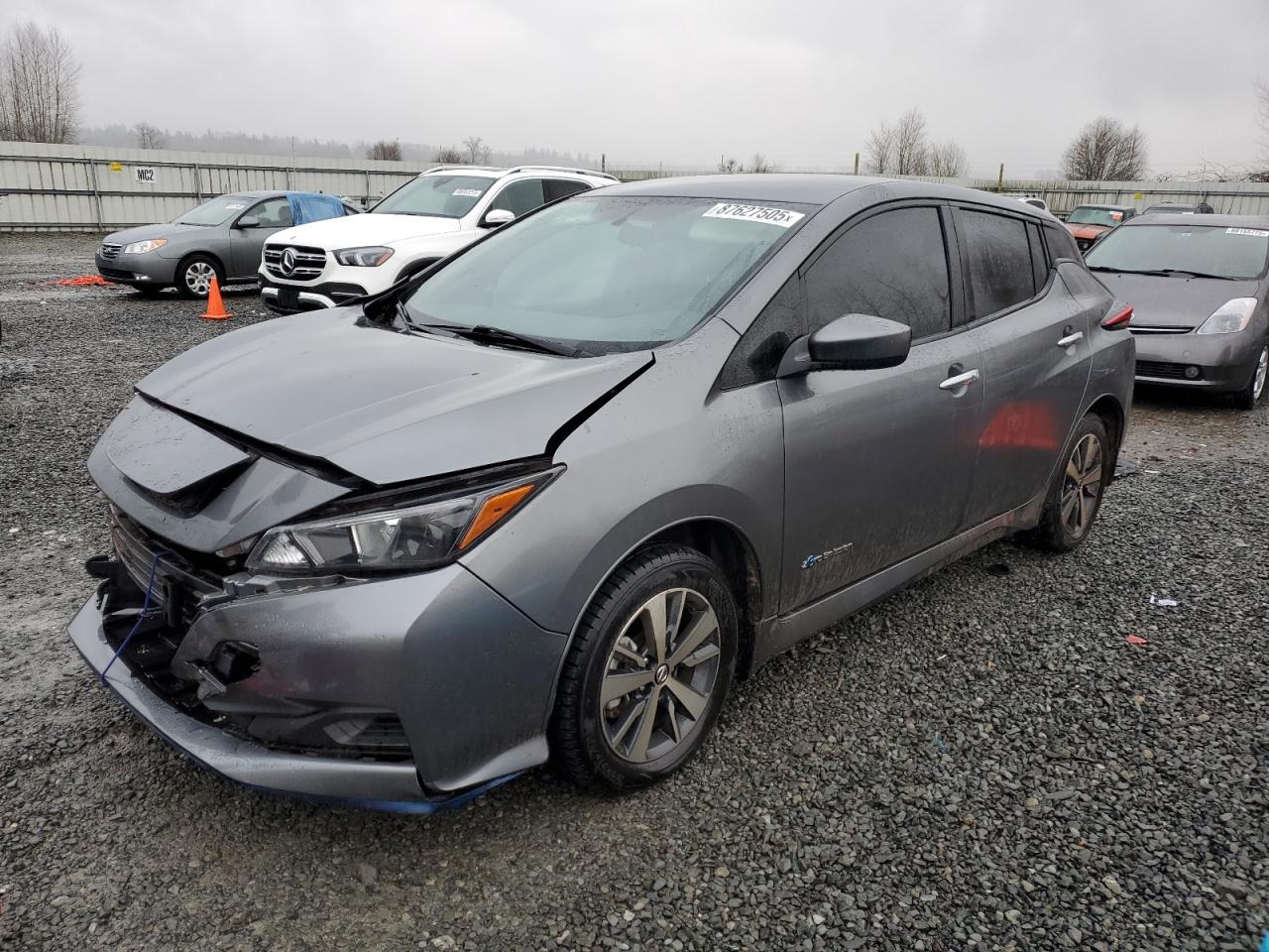 2019 Nissan Leaf