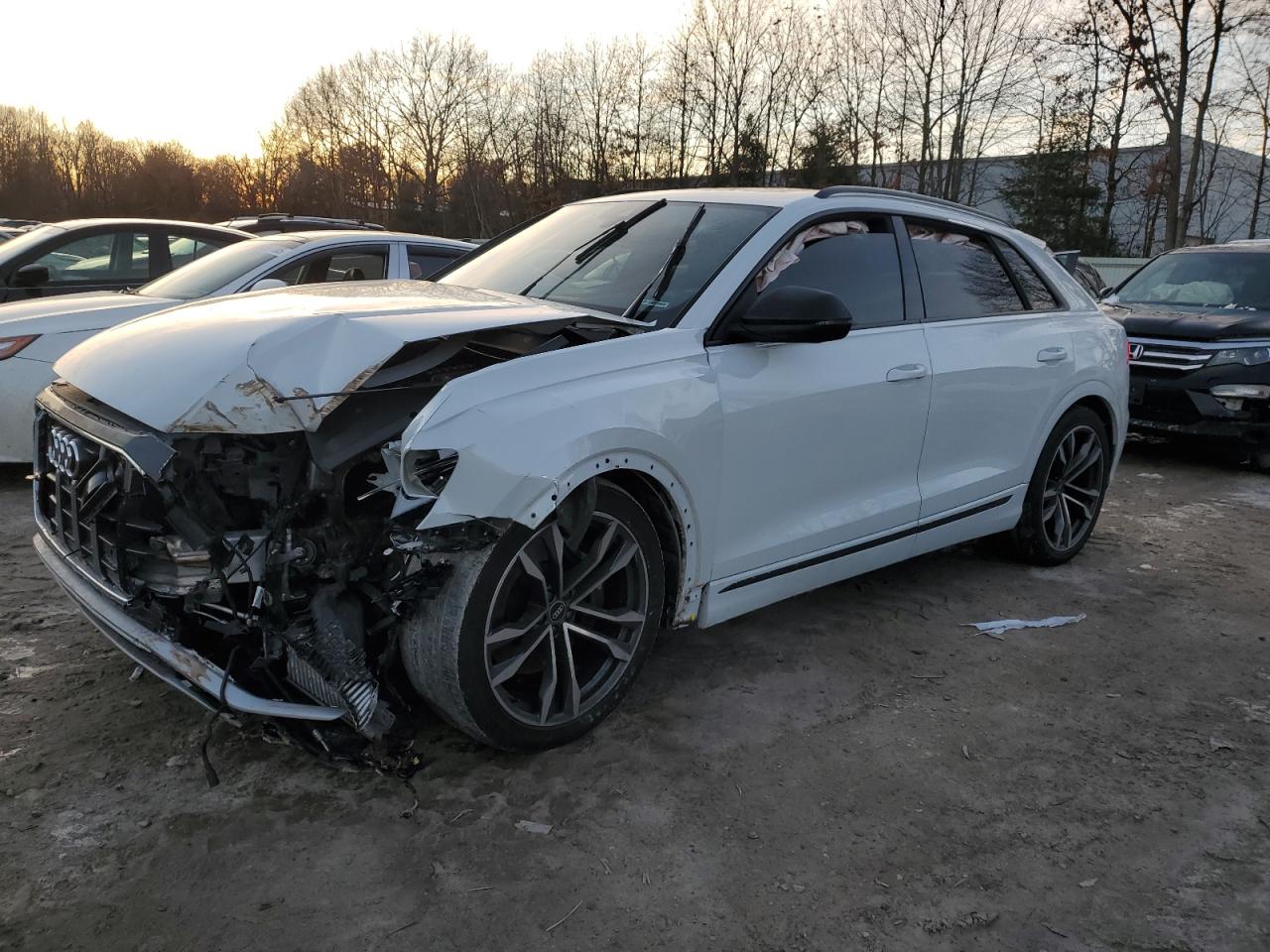2021 Audi Sq8 premiu PREMIUM PLUS