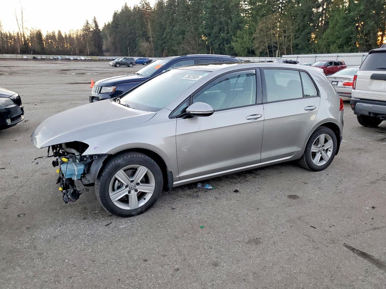 2017 Volkswagen Golf