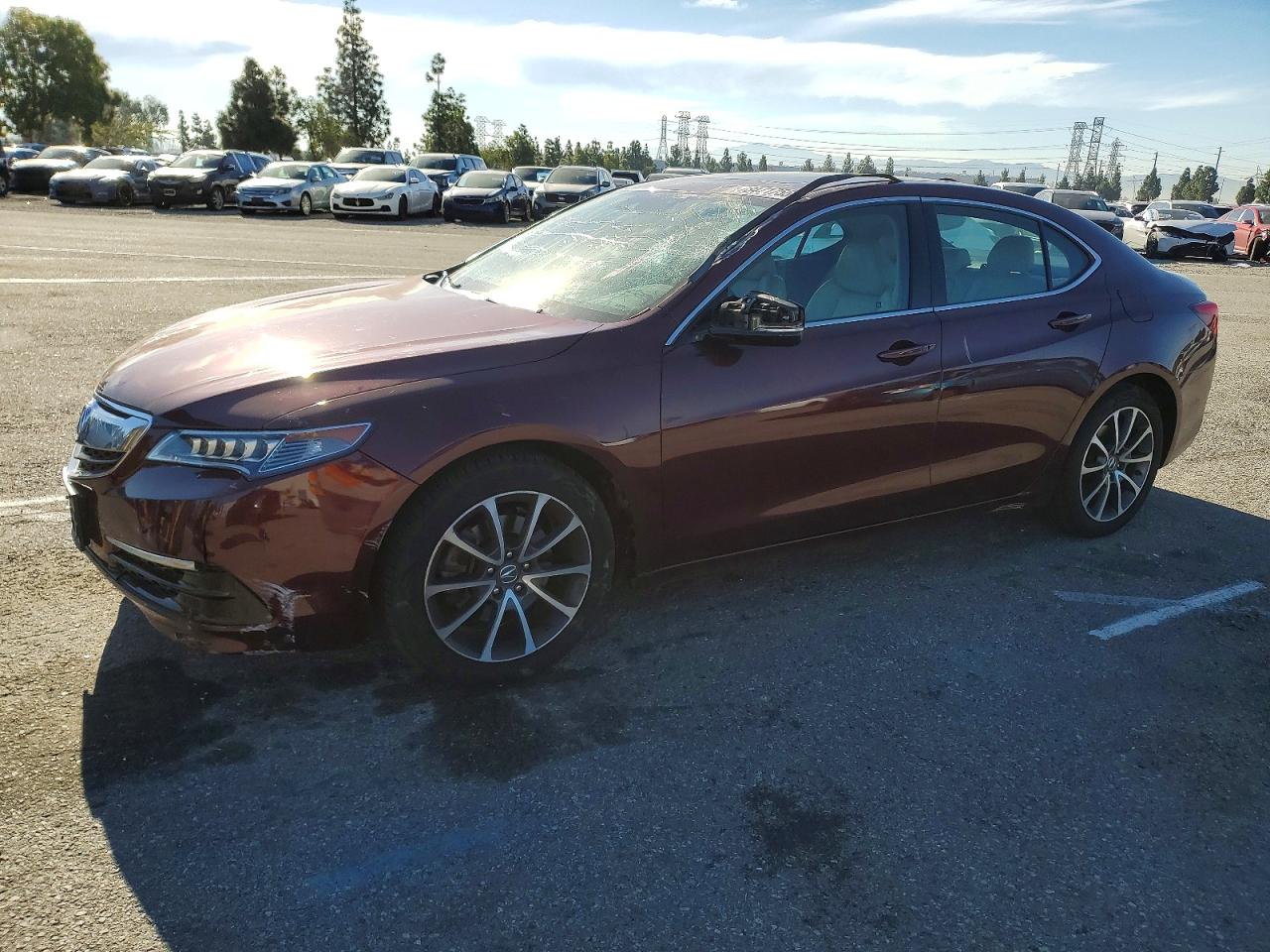 2015 Acura TLX