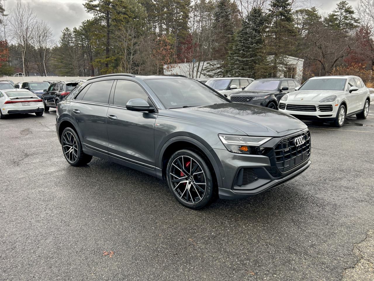 2019 Audi Q8
