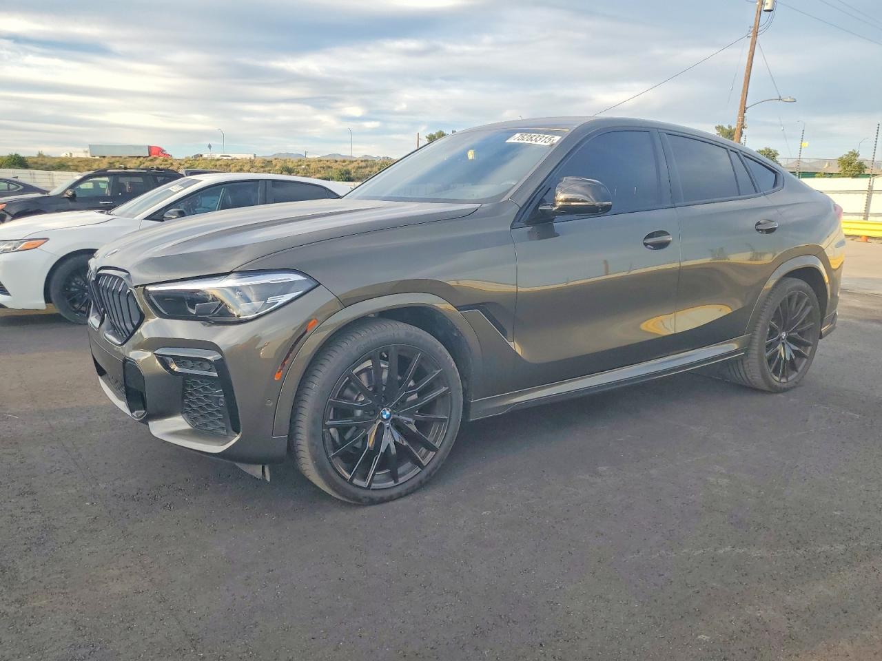 2023 BMW X6