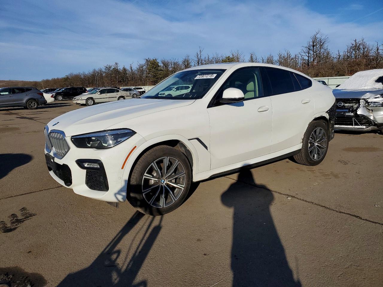 2020 BMW X6