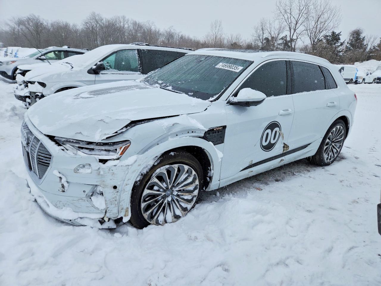 2019 Audi e-tron
