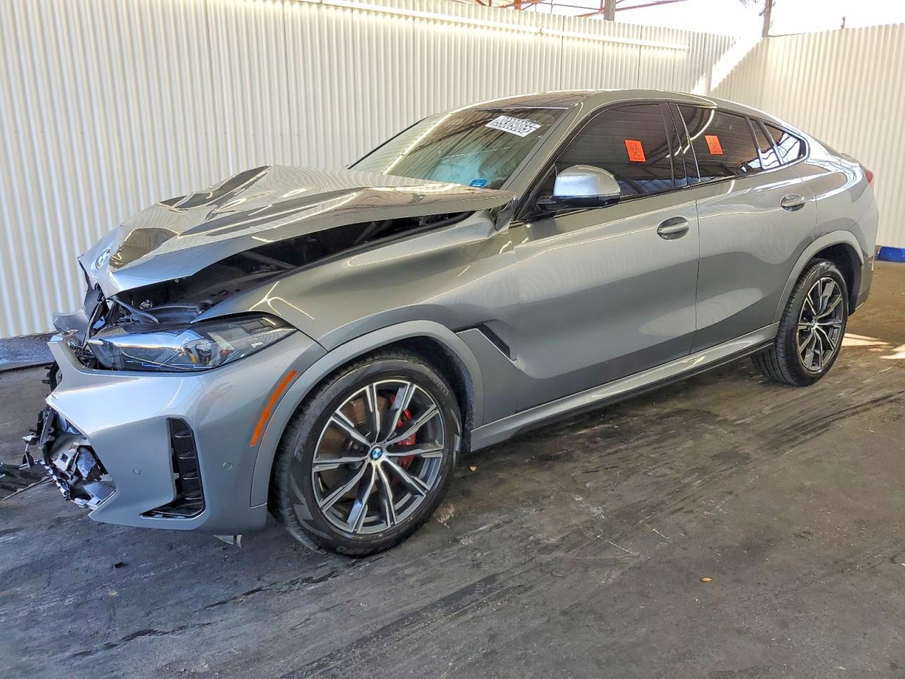 2025 BMW X6