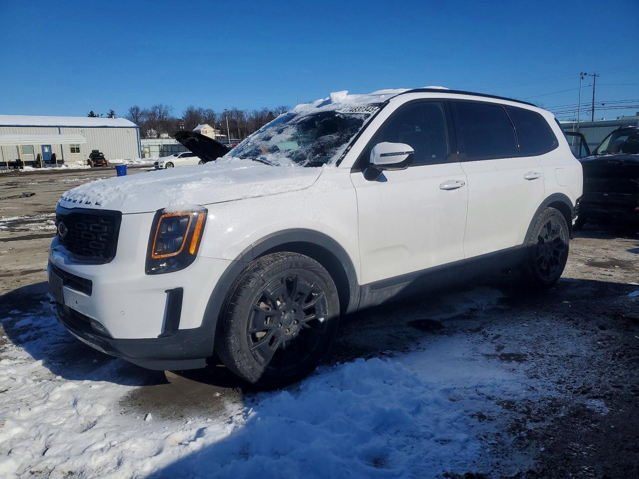 2021 Kia Telluride
