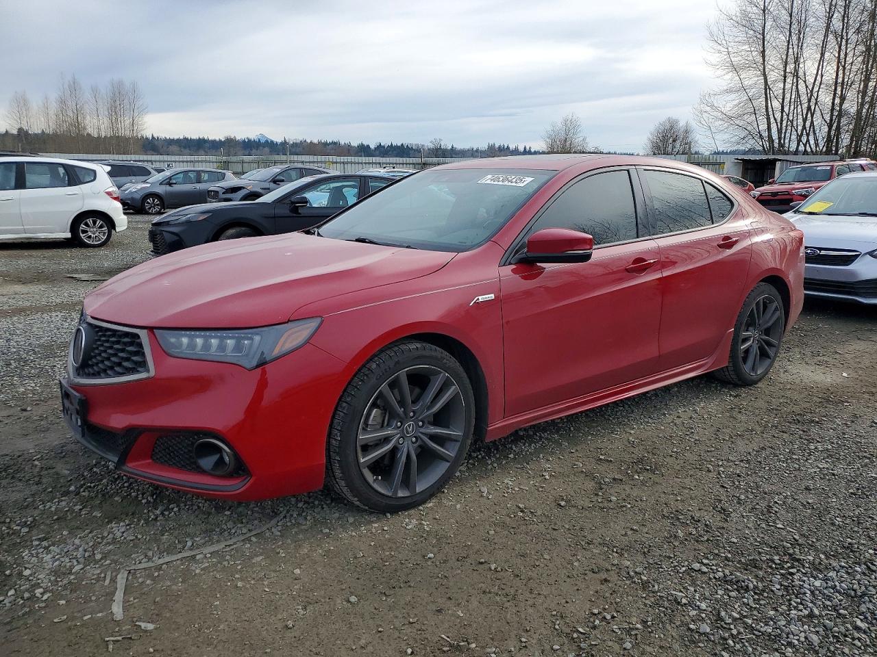 2019 Acura TLX