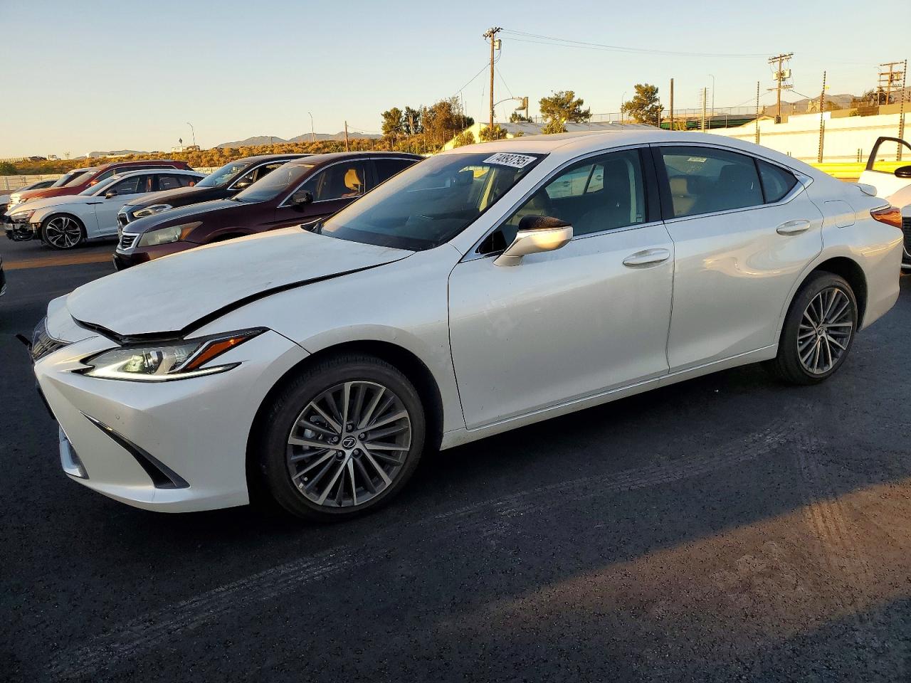 2025 Lexus ES 250