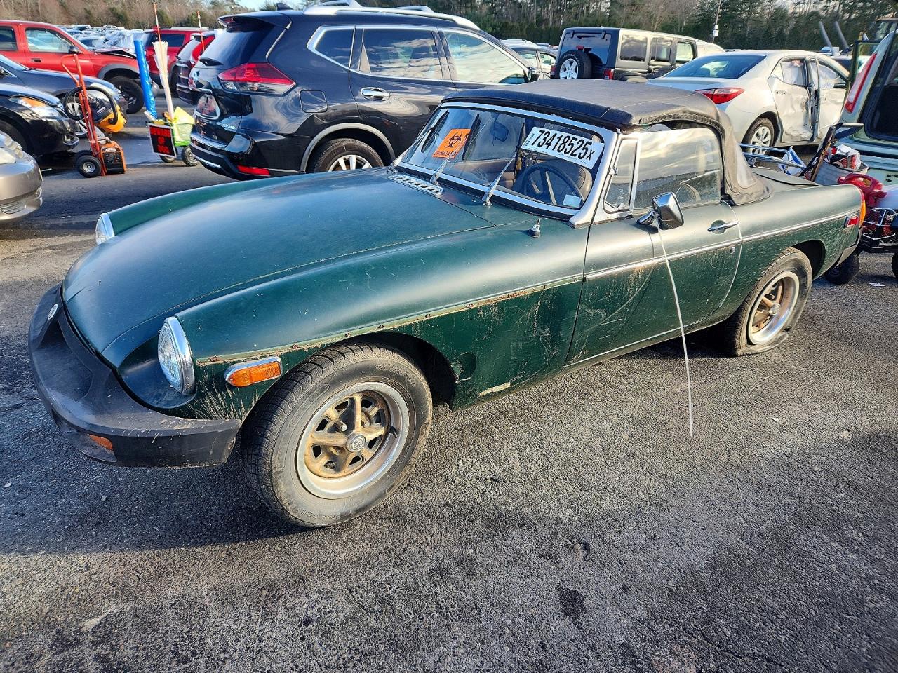 Mg B