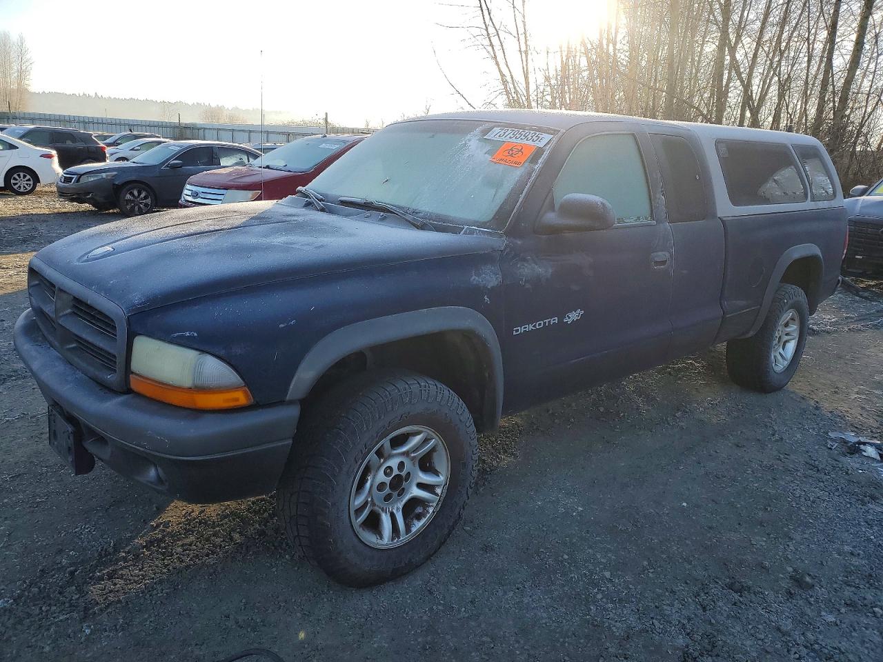 2002 Dodge Dakota